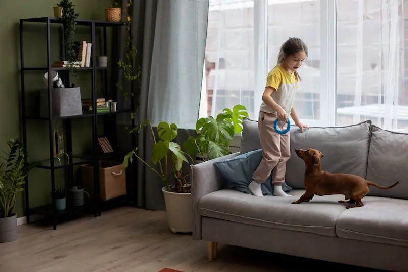 How to Make Your Home Pet-Friendly and Safe (Step-by-Step Guide)