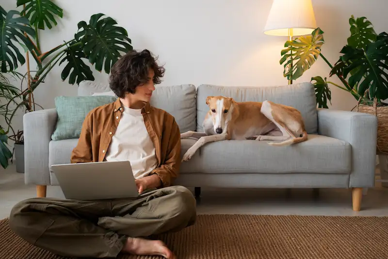 Pet-proofing home with safety tips for animals